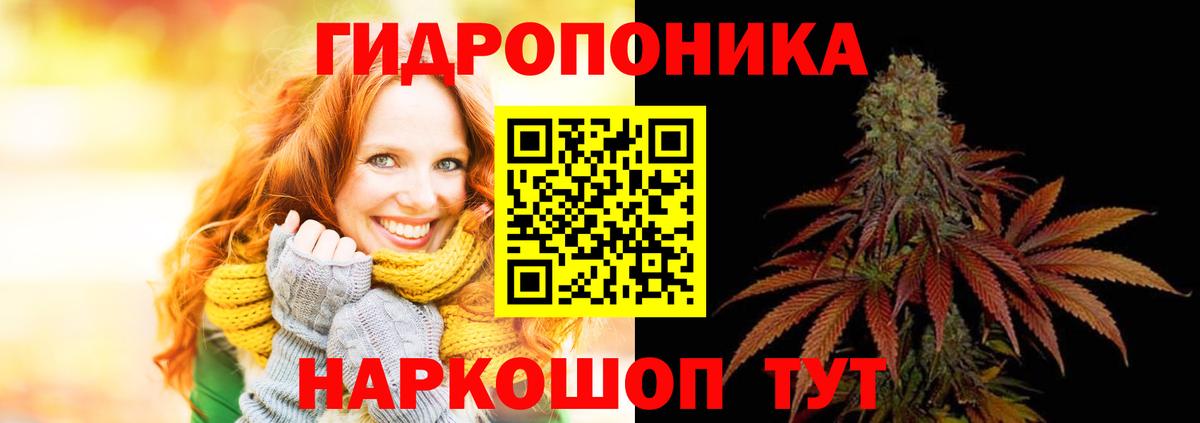 Бошки Шишки AK-47  Вход с VPN  Каннабис семена  Нижний Новгород  Шишки марихуана семена 